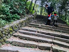 -午潮山国家森林公园