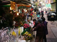 -龙城大药房