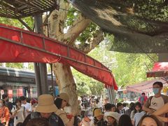 -汪记鲜鱼糊汤粉(沈阳路总店)