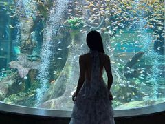 -合肥海洋世界