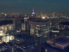 -东京都厅舍