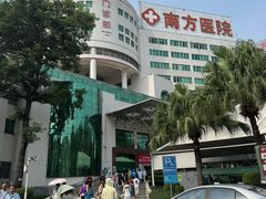 -南方医科大学南方医院(院本部)