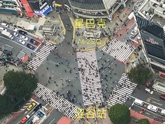 -涩谷区