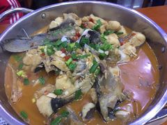 千岛湖有机鱼一锅炖-全乐鱼馆·淳牌有机鱼直营店