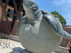-广东惠东海龟国家级自然保护区
