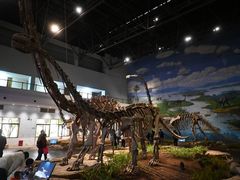 -自贡恐龙博物馆