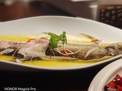 -羲和雅苑•北京烤鸭(国贸商城店)