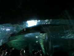 -上海海洋水族馆-停车场