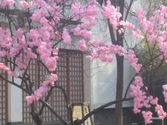 -国御温泉度假小镇