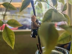 -六区宿舍咖啡店