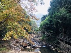 -广州市石门国家森林公园