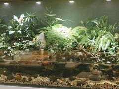 -泉寿司(万科公园店)