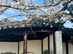 -八大山人梅湖景区