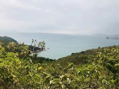 -南丫岛
