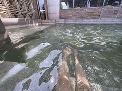 -春晖园度假酒店温泉