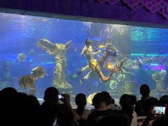 -梦幻海洋王国(吾悦广场张家港店)