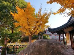 -秦淮小吃城(夫子庙店)