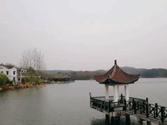 -大塘金香草谷
