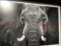 -罗红摄影艺术馆