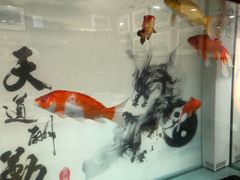 -中卫御苑福膳·养生局(圆明园店)