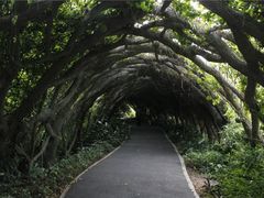 -广西壮族自治区药用植物园