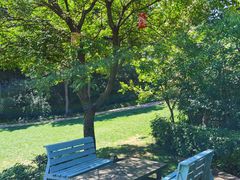 -云峰山自然风景区