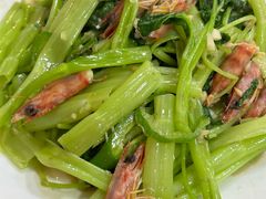 -富来美食(成发大厦店)