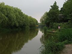 -新江湾城公园