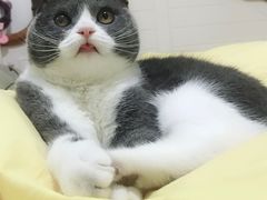 -东方动物医院·宠保定点·骨科·转诊中心(春城路·昆明站分院)