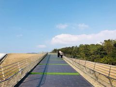 -日月潭