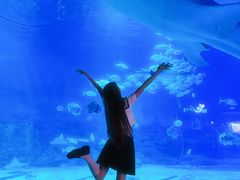 -烟台海昌鲸鲨海洋公园