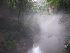 -川西竹海景区