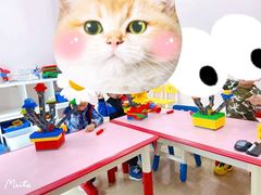 -百变创造力活动中心(虹口龙之梦中心店)