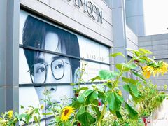-大视光学•LINDBERG林德伯格•全球手工眼镜集合店(王府井店)