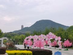 -牛首山文化旅游区