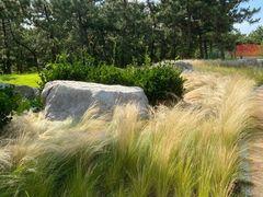 -那香海钻石沙滩浴场