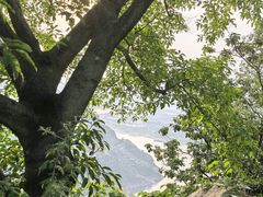 -铁山坪森林公园