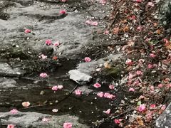 -雁荡山大龙湫景区