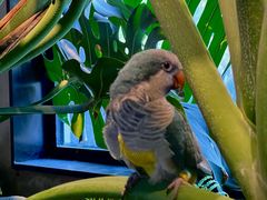 -J Create城市露营咖啡·简餐·宠物(上海动物园店)