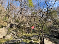 -鲁山国家森林公园