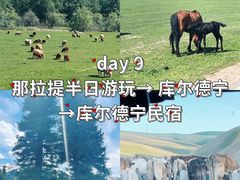 -新疆那拉提国家旅游度假区