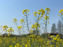 -广富林郊野公园