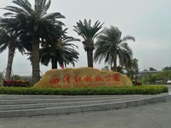 景点-宝安西湾红树林湿地公园