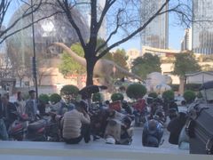 -陕西自然博物馆