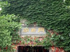 -乌镇景区