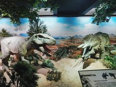 -国家自然博物馆