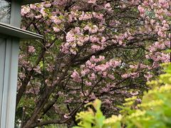 -城市运动公园(未央区)