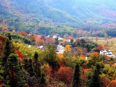 -塔川景区
