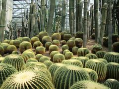 -南山植物园