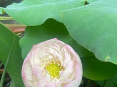 -福州大学(旗山校区)